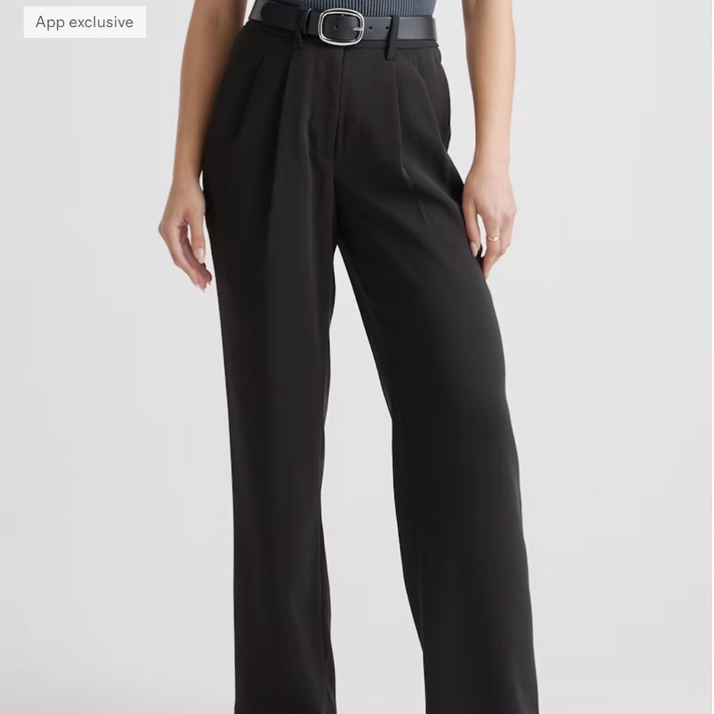 Quince - NWT - In Original Packaging - Stretch Crepe Pleated Wide Leg Pants